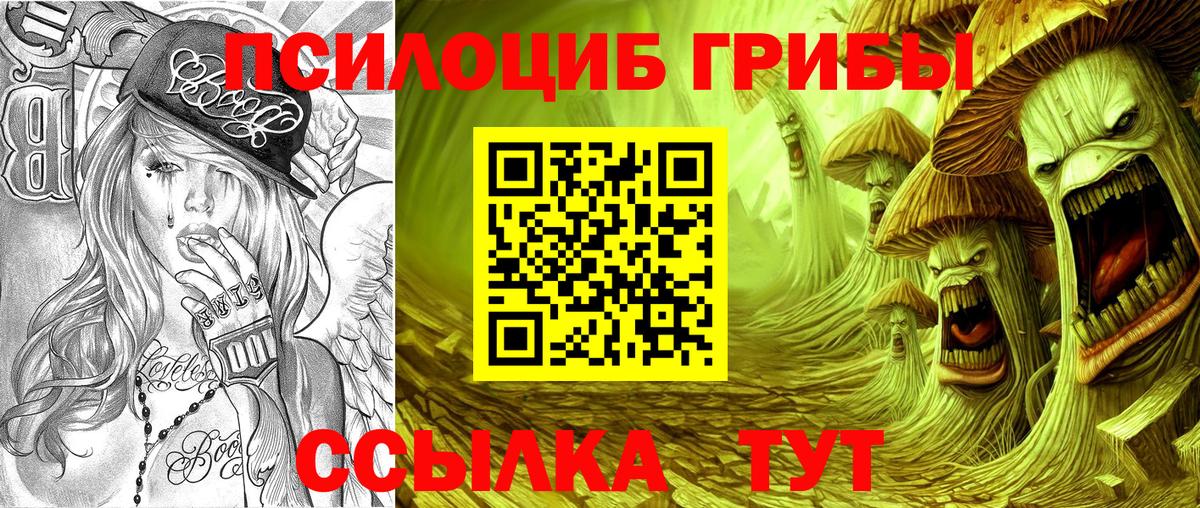 Псилоцибиновые грибы Psilocybine cubensis Мыски