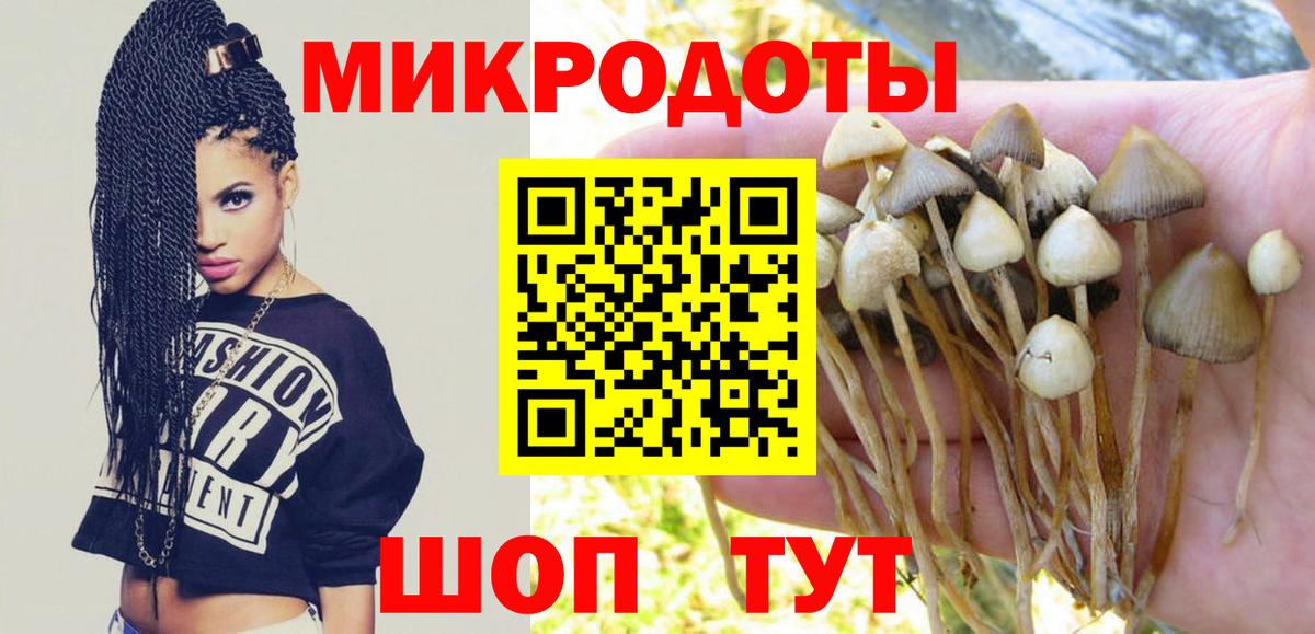 купить  сайты  Галлюциногенные грибы ЛСД  Вход с VPN  Мыски 